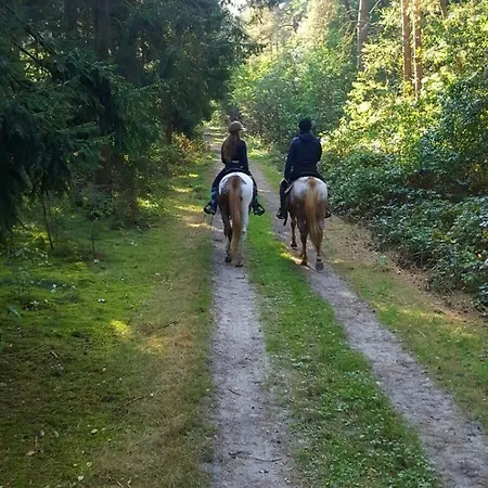 Apartment Lucky Luke's Hideaway