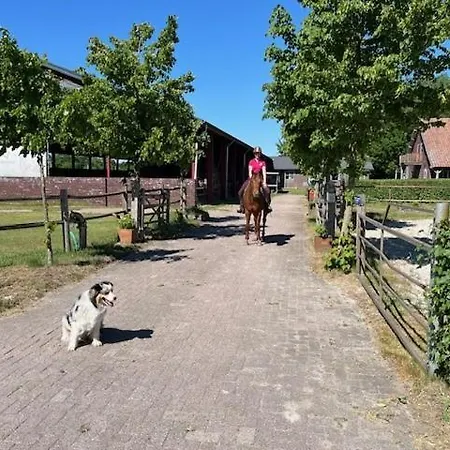 Lucky Luke's Hideaway Heibloem