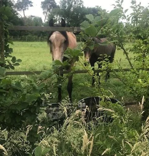 Lucky Luke's Hideaway