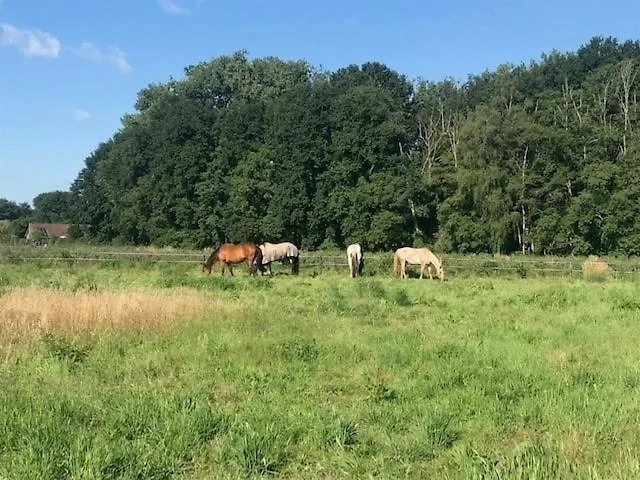 Apartament Lucky Luke's Hideaway *