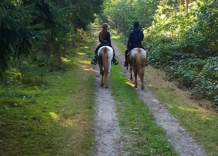 Apartament Lucky Luke's Hideaway