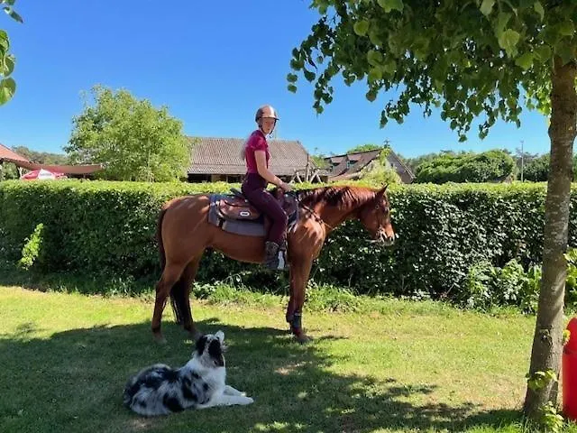 Lucky Luke's Hideaway * Heibloem