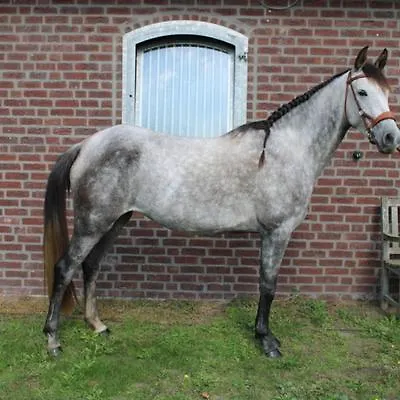 Lucky Luke's Hideaway Apartament