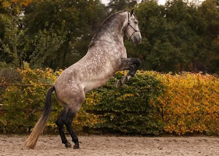 Lucky Luke's Hideaway Apartament