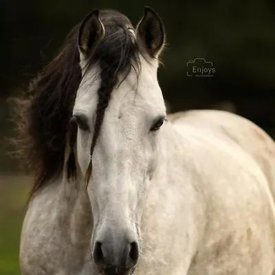 Lucky Luke's Hideaway *